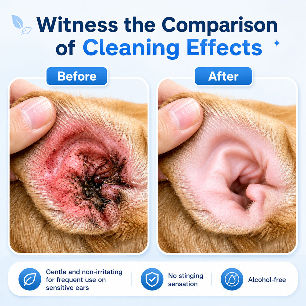 💧 Pet Ear Cleansing Solution – Daily Care for Clean, Fresh & Happy Ears 🐶🐈️ Trusted by 150,000+ Pet Owners 🐾