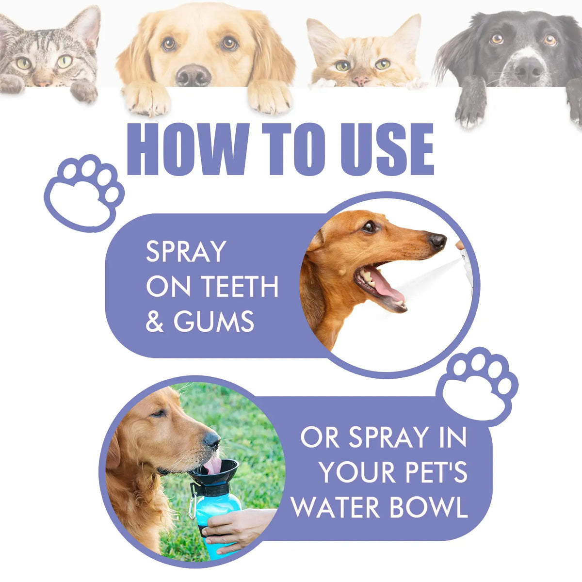 Oralpaw®︎🍃 NO BRUSHING oral care spray for dogs cats