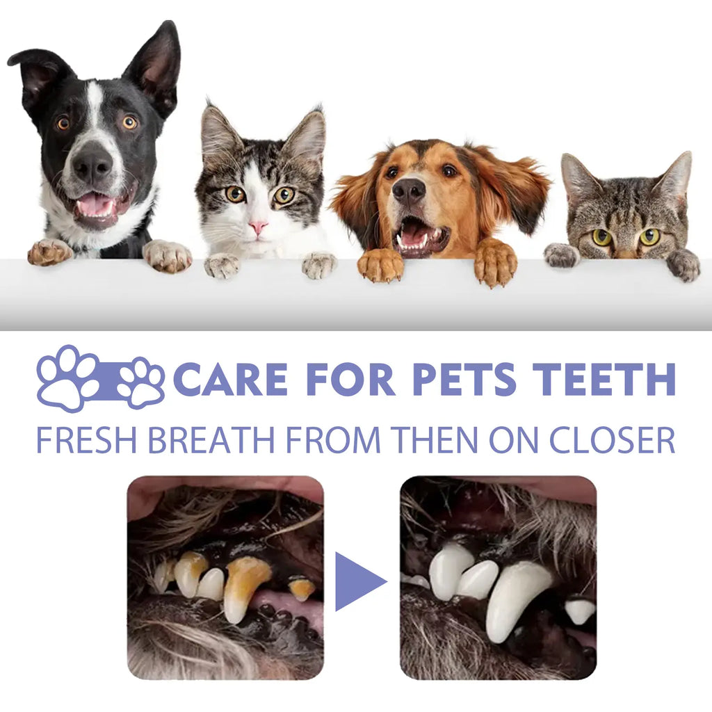Oralpaw®︎🍃 NO BRUSHING oral care spray for dogs cats