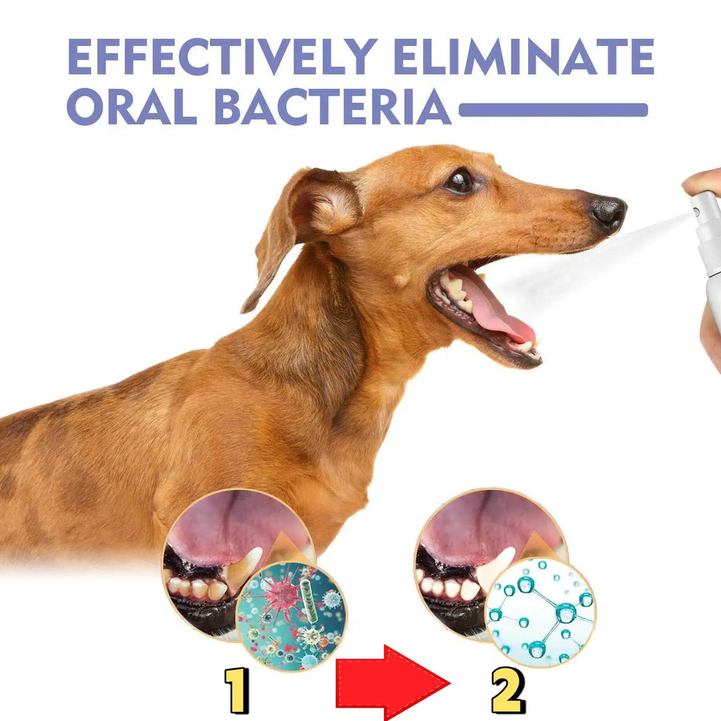 Oralpaw®︎🍃 NO BRUSHING oral care spray for dogs cats