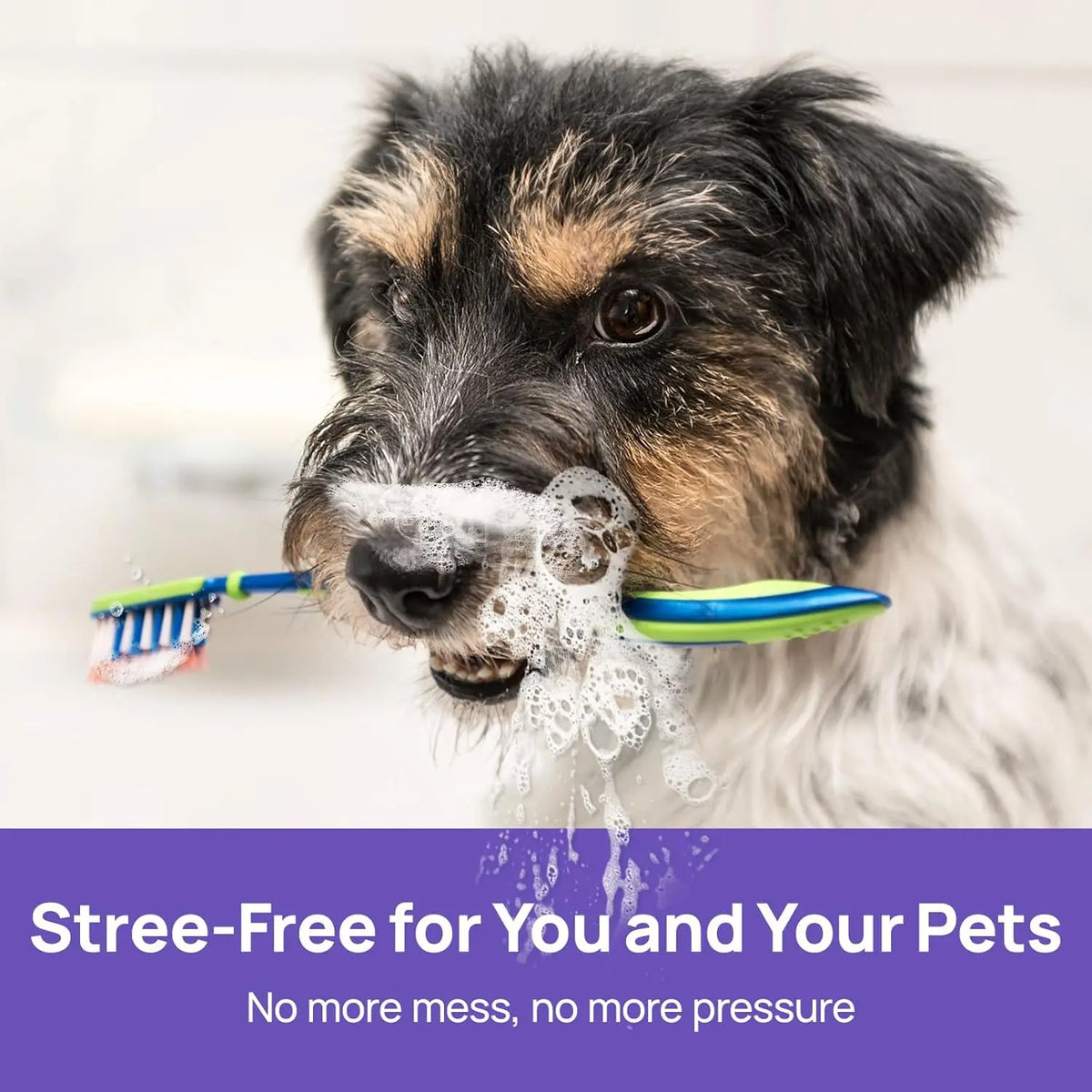 Oralpaw®︎🍃 NO BRUSHING oral care spray for dogs cats